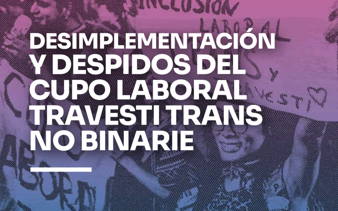 Cupo laboral TTNB. Desimplementación y despidos en el Estado Nacional.