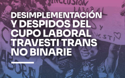 Cupo laboral TTNB. Desimplementación y despidos en el Estado Nacional.